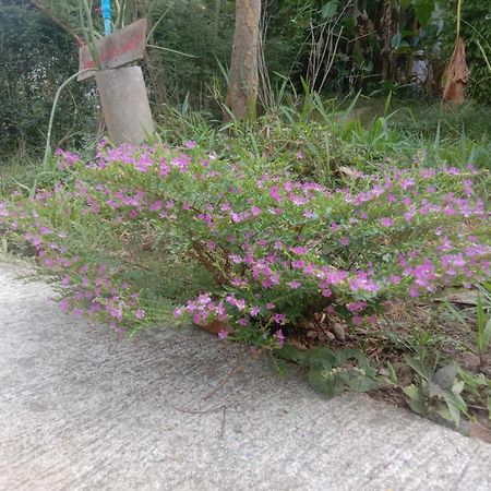 Koh Mook Bamboo Bungalows Ko Mook Exterior foto