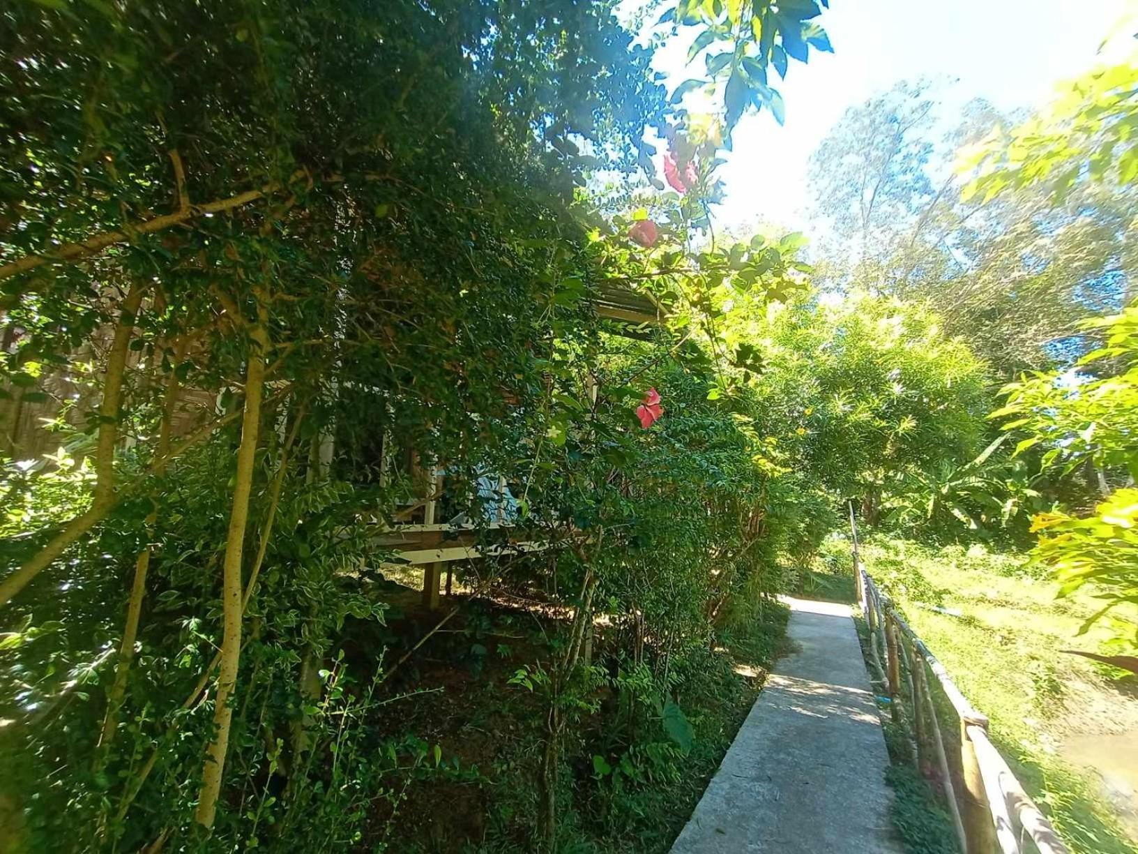 Koh Mook Bamboo Bungalows Ko Mook Exterior foto